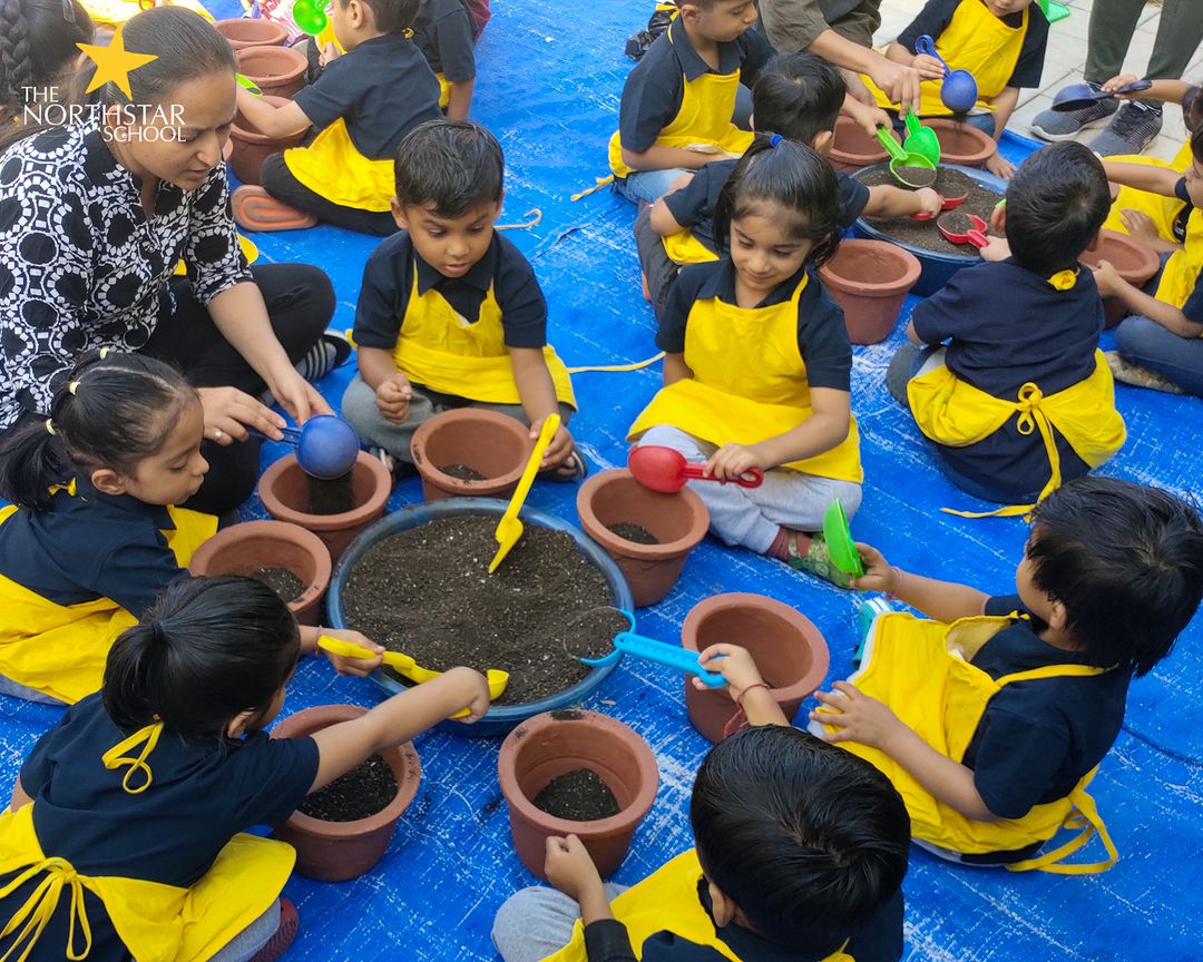 From Little Seeds Grow Mighty Trees