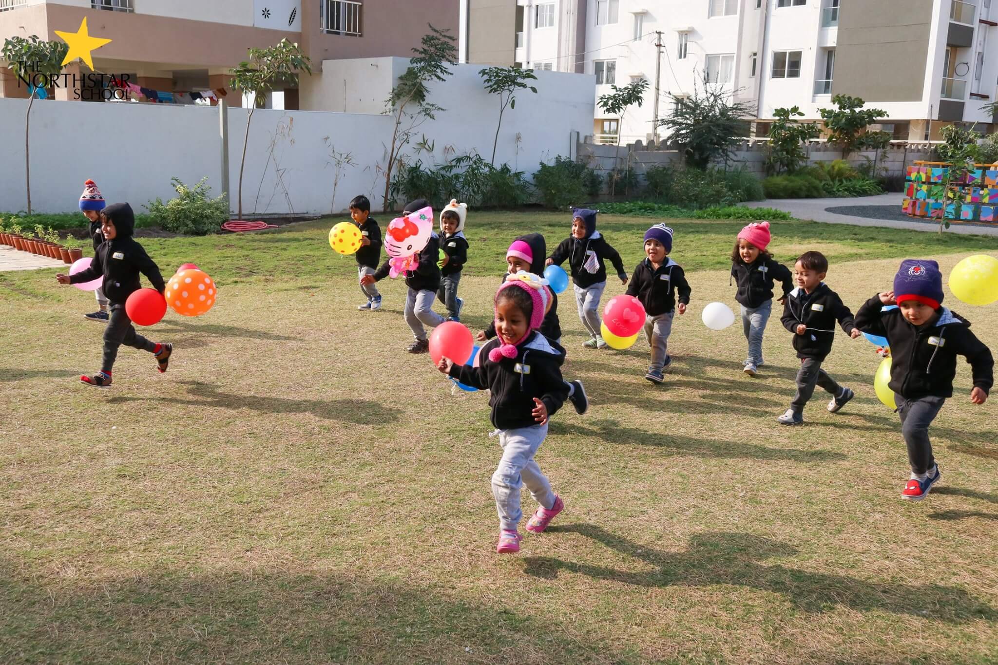 Kite Flying festival