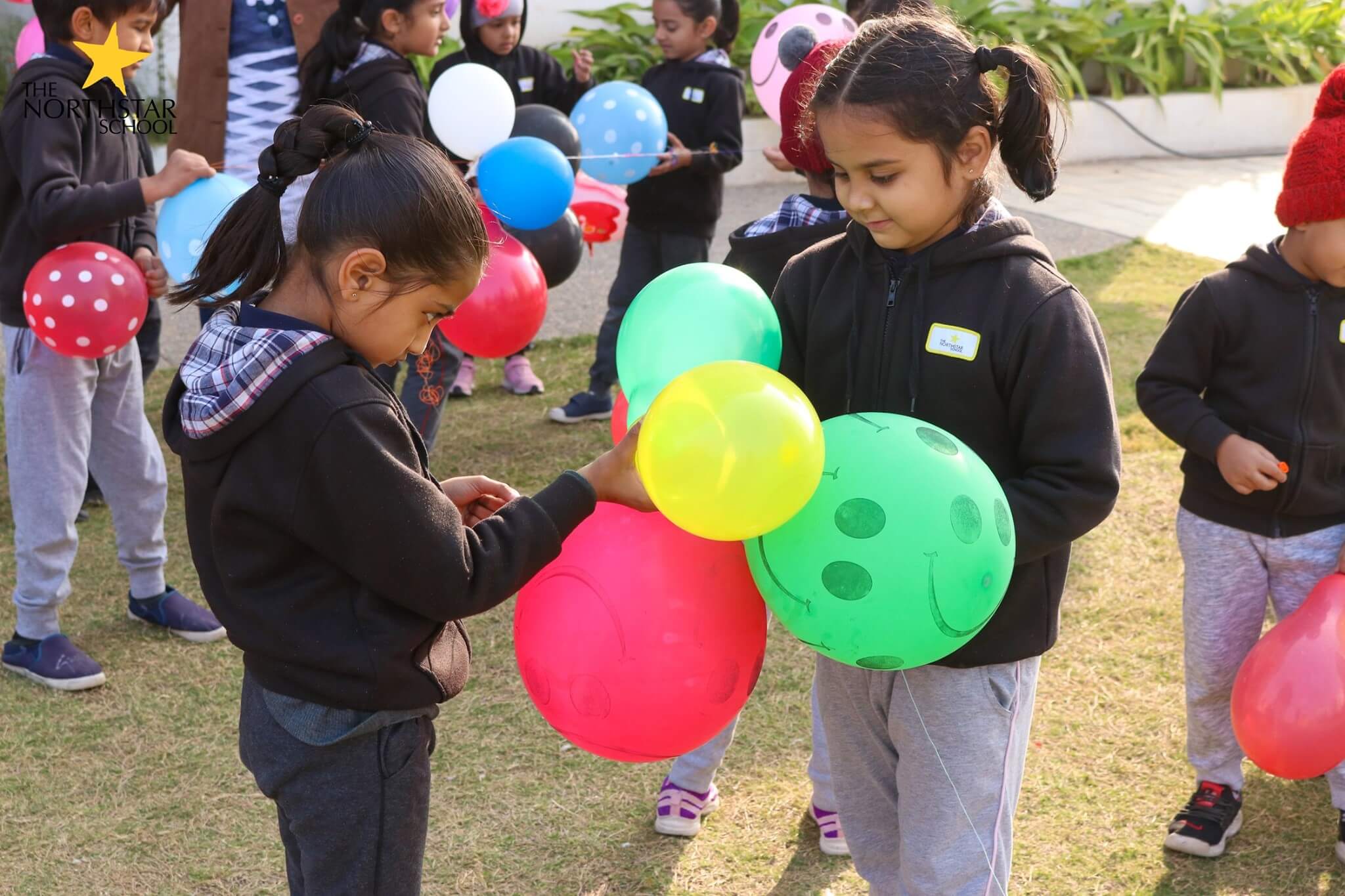 Kite Flying festival