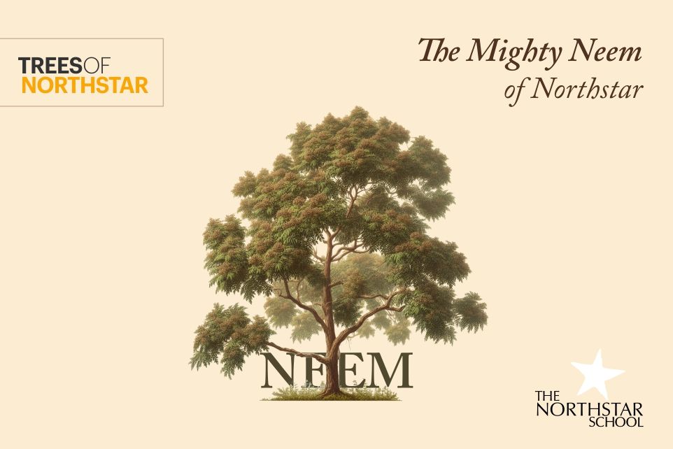 The Mighty Neem of Northstar