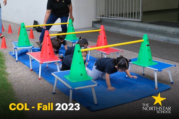 COL - Fall 2023