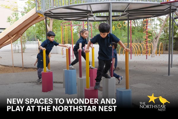 New Spaces to Wonder and Play at The Northstar Nest